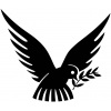 peace_dove_olive_branch_1