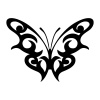 butteryfly-6