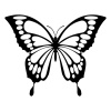 butteryfly-7