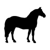 horse-1