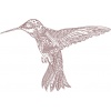 hummingbird-1