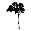 preview_-_tree2