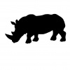 rhino-1