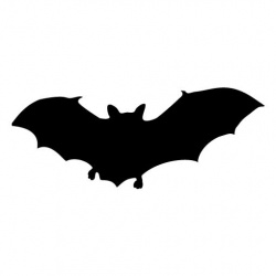 bats6