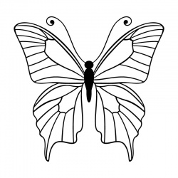 butteryfly-1
