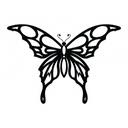 butteryfly-4