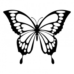 butteryfly-7_1826438162