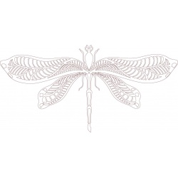 dragonfly-4