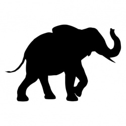elephant-5
