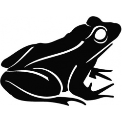 frog-1_1265360501