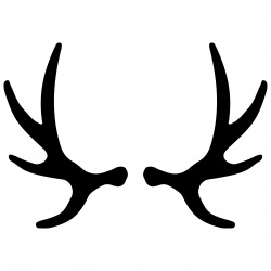 preview_-_antlers1