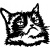 grumpy-cat-1