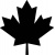 maple-leaf