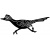 roadrunners